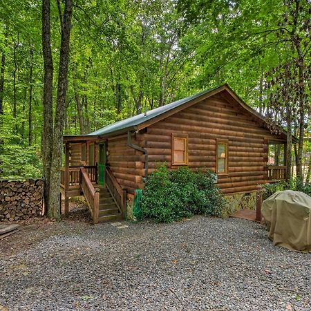 Pinot And Pine Chic Log Cabin About 5 Mi To Blue Ridge Villa Екстериор снимка