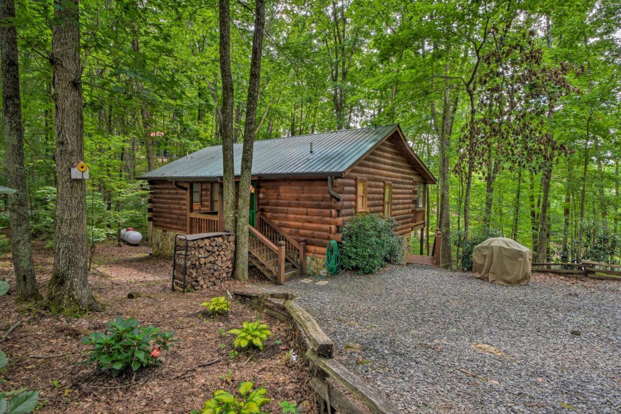 Pinot And Pine Chic Log Cabin About 5 Mi To Блу Ридж Екстериор снимка